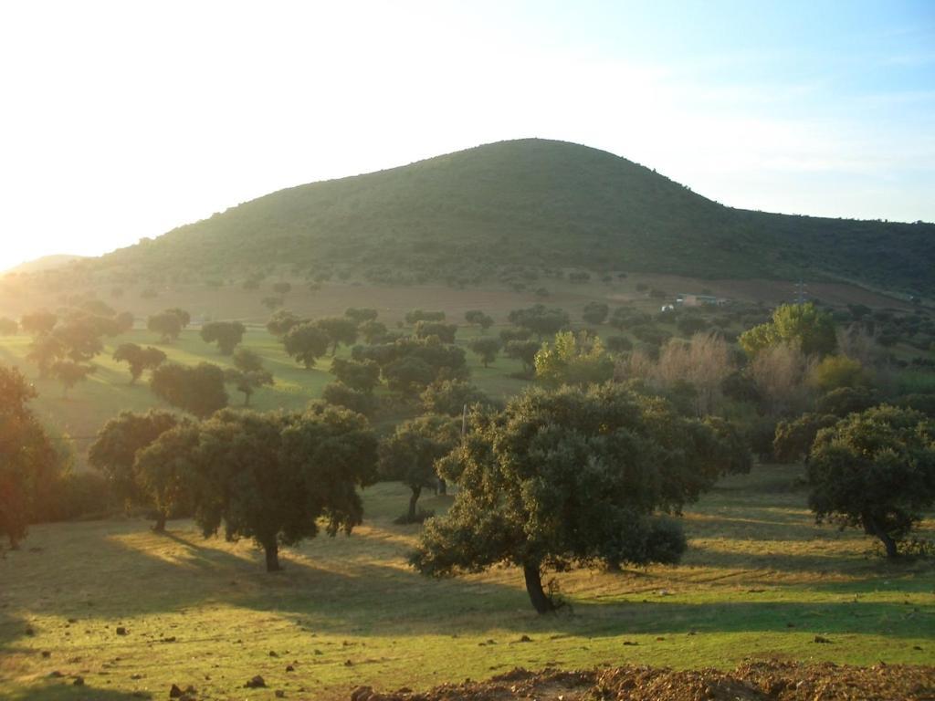 Cortijo El Criadero El Hoyo Szoba fotó