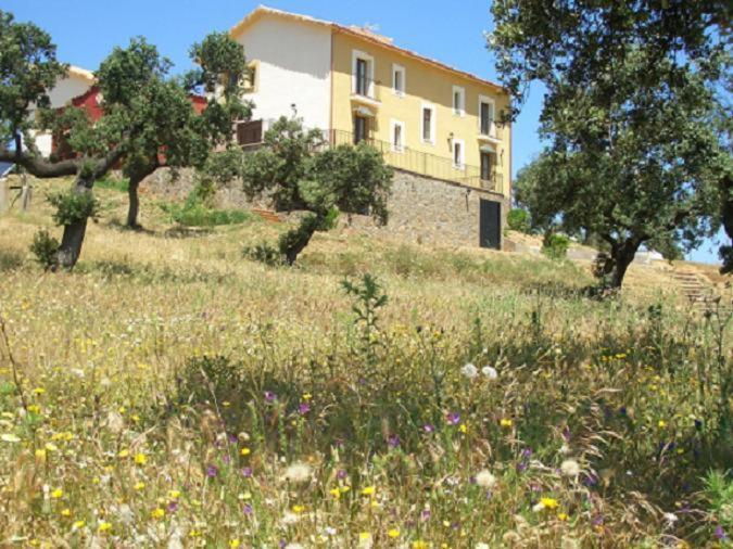 Cortijo El Criadero El Hoyo Kültér fotó